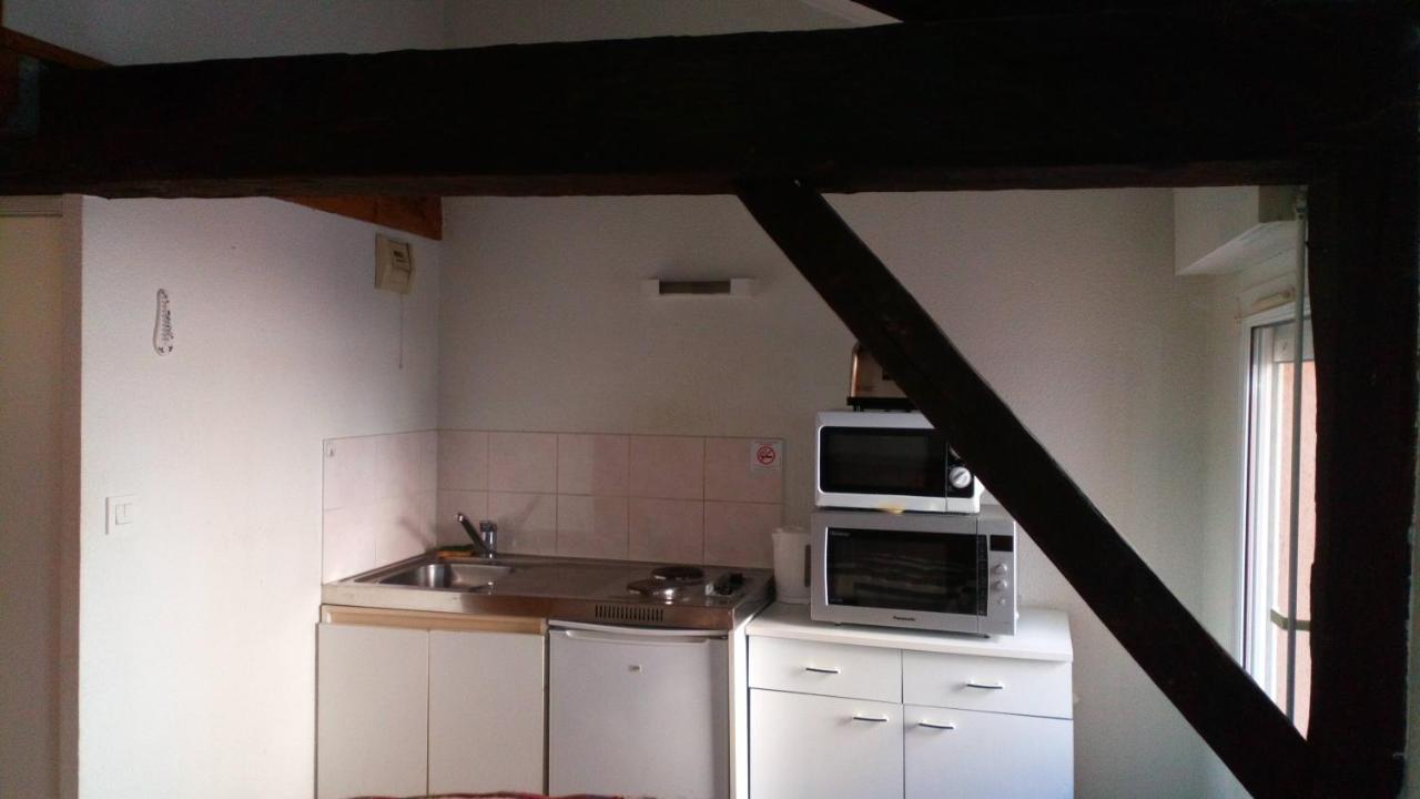 Residence Le Pastel Francois Verdier トゥールーズ エクステリア 写真